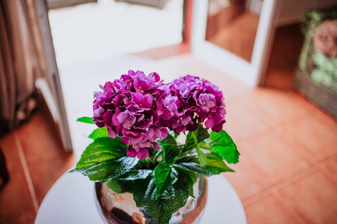 Villa Amore Accommodation 滨海保尔 外观 照片